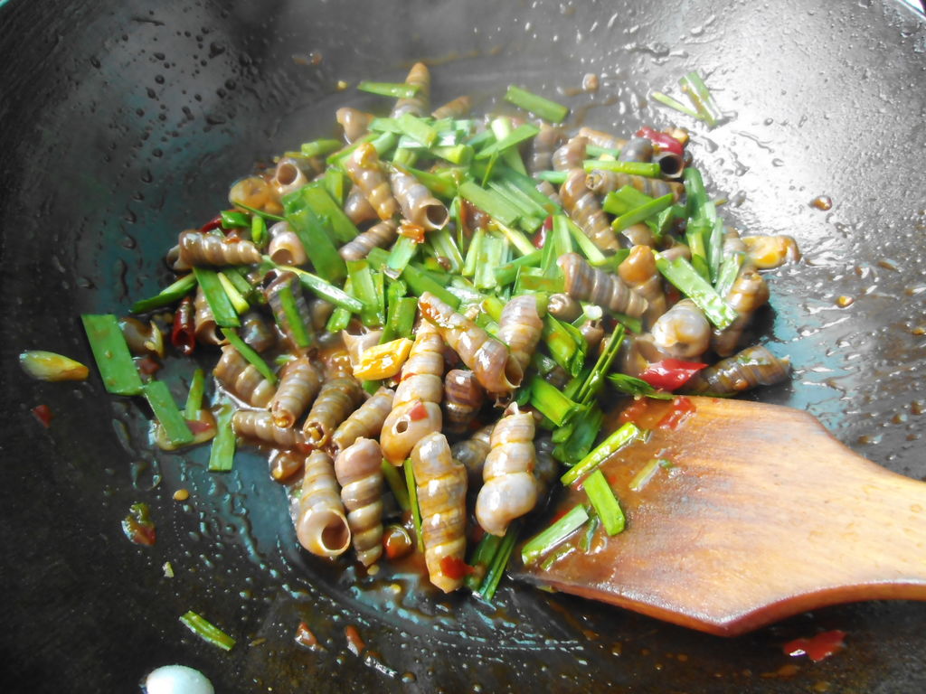青岛常见食用海螺图鉴- · 科普中国网