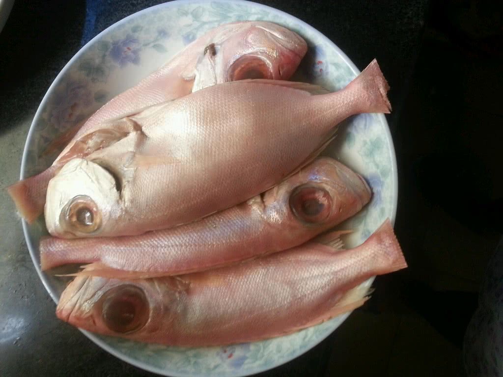 干煎红鱼的做法_干煎红鱼怎么做_干煎红鱼的家常做法_晴空【心食谱】