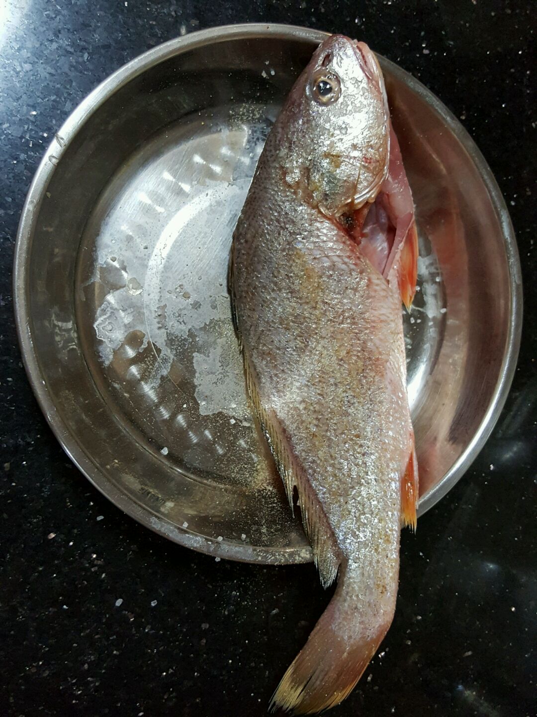 香煎黄花滑海鱼