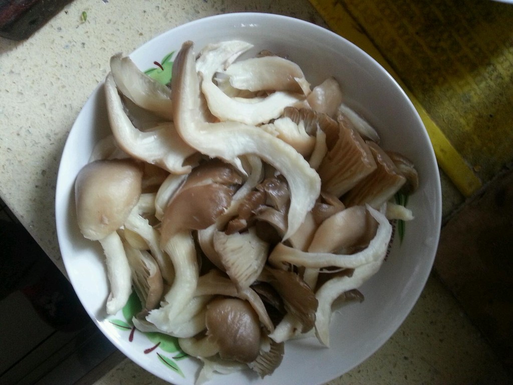 豆瓣小蘑菇
