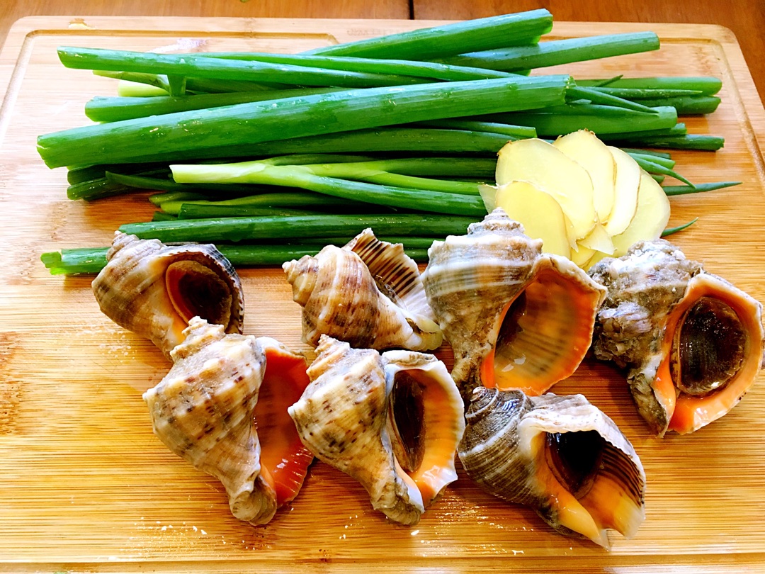 快手海鲜--葱油螺片的做法_【图解】快手海鲜--葱油螺片怎么做如何做好吃_快手海鲜--葱油螺片家常做法大全_阿罗al_豆果美食