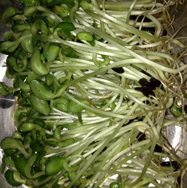 凉拌豆苗怎么做_凉拌豆苗的做法_豆果美食