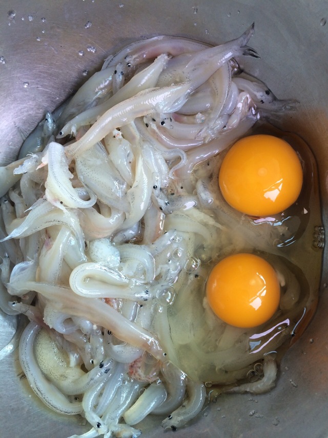 面条鱼炒鸡蛋