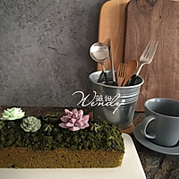 苔藓磅蛋糕---可以吃的盆景随心做的做法图解9