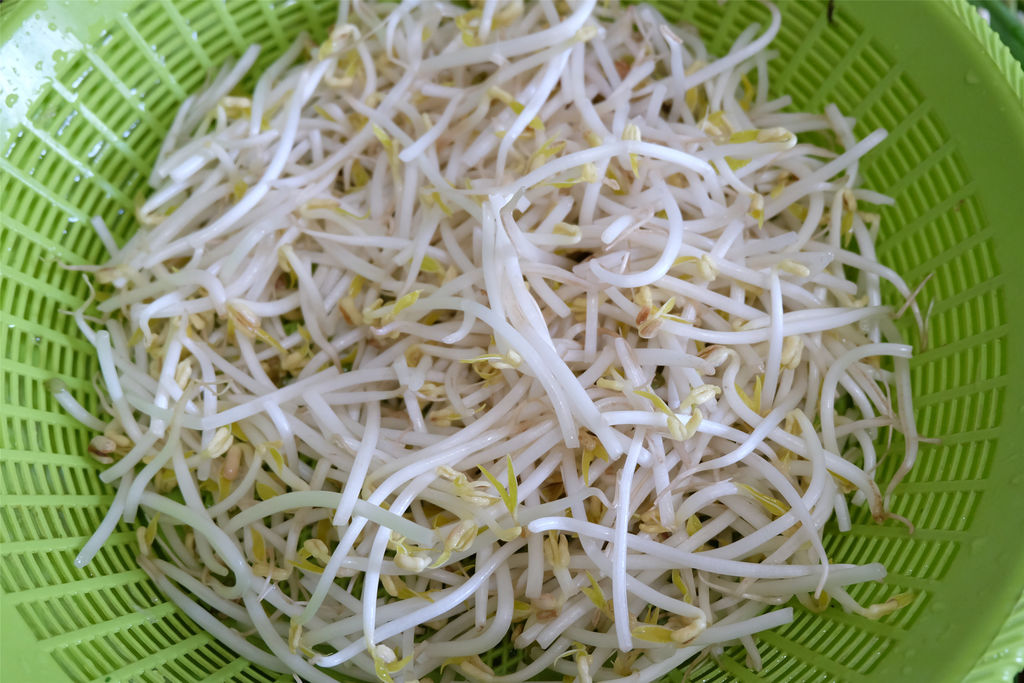 馓子炒绿豆芽的做法图解1