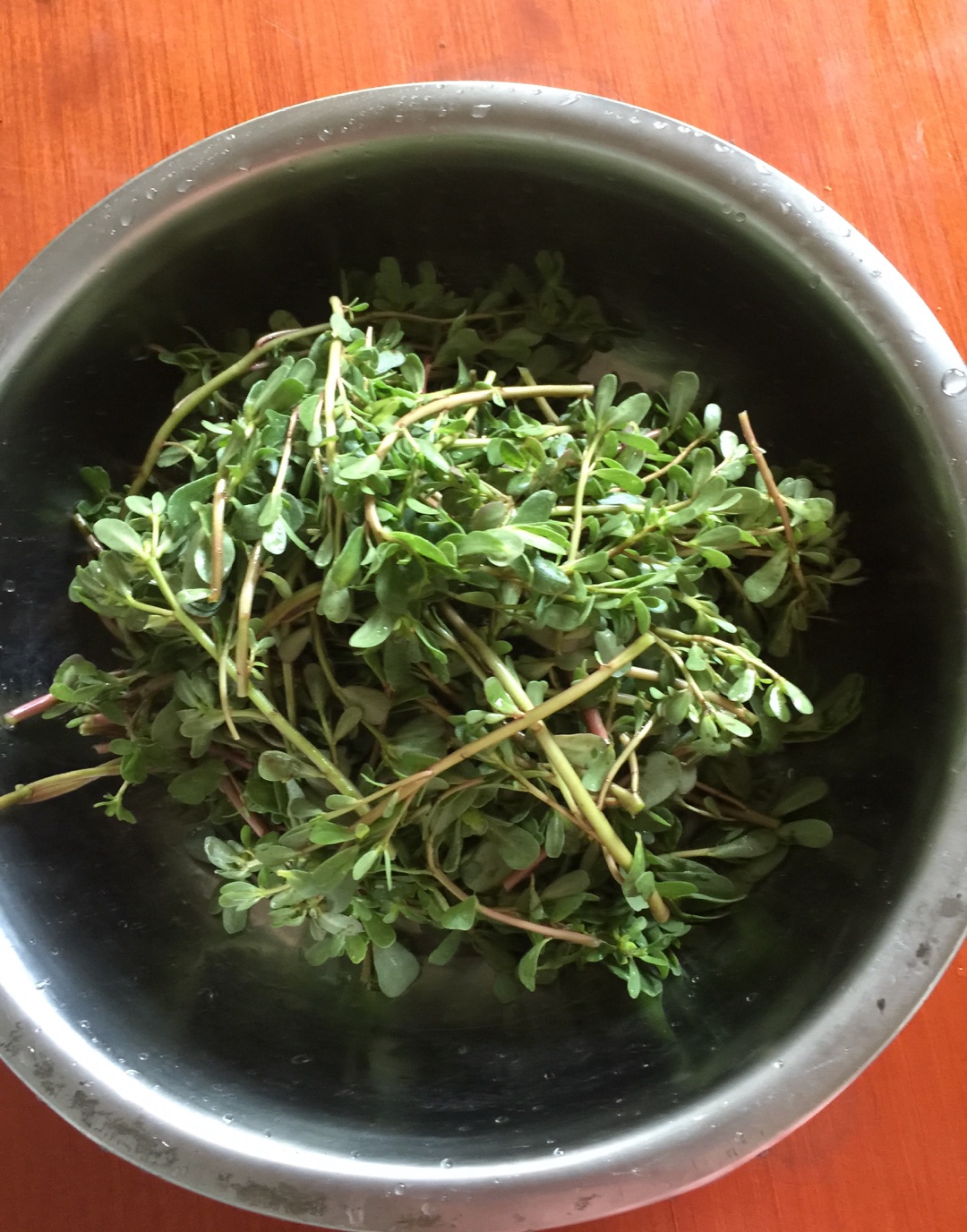 凉拌马齿苋怎么做_凉拌马齿苋的做法_果妈私房菜_豆果