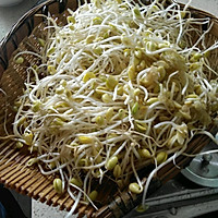 葱花豆芽的做法图解1