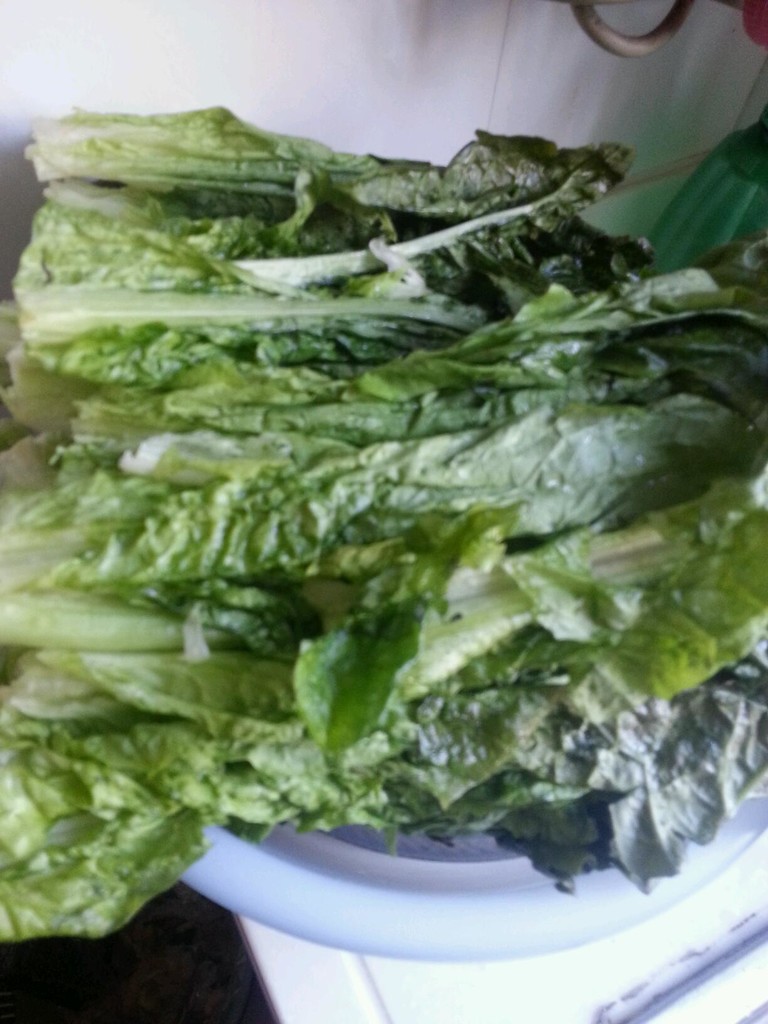 ζݫҶ