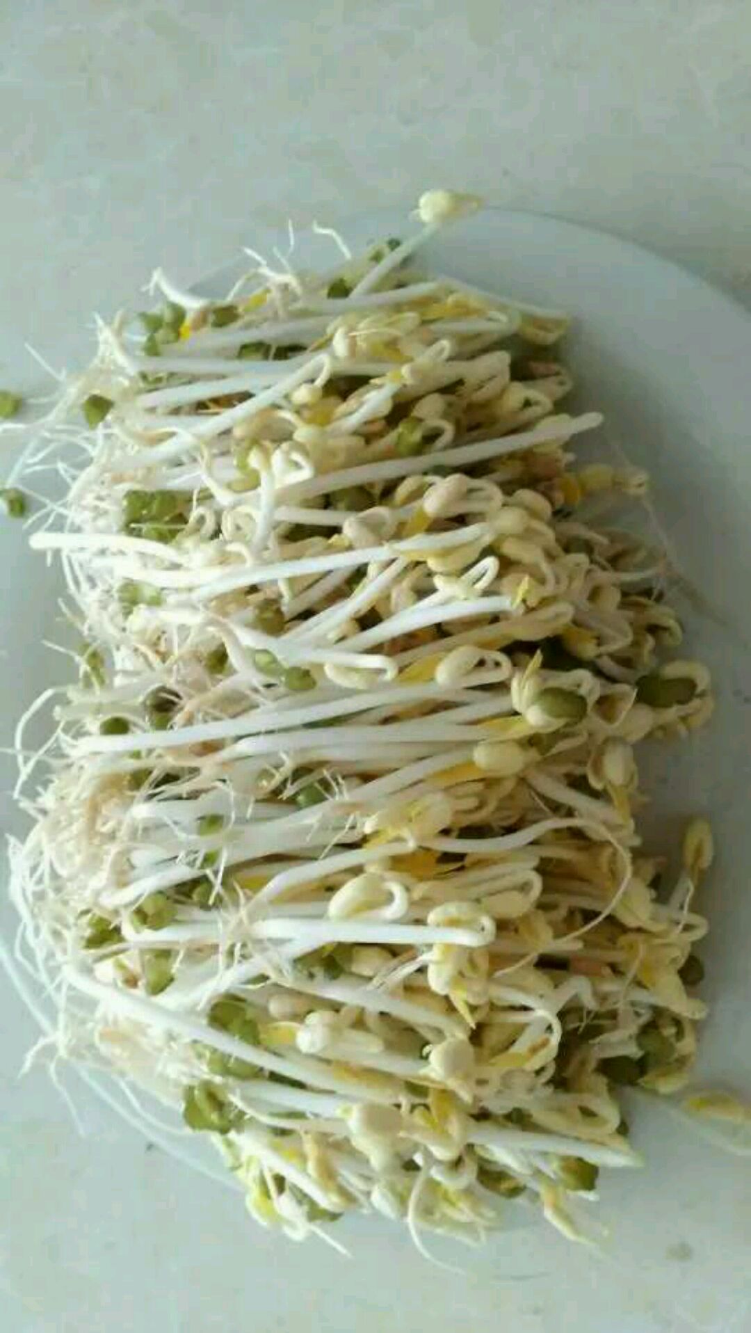 看这个菜谱 扫一扫 边看边做更方便        不少朋友问自发豆芽的做法