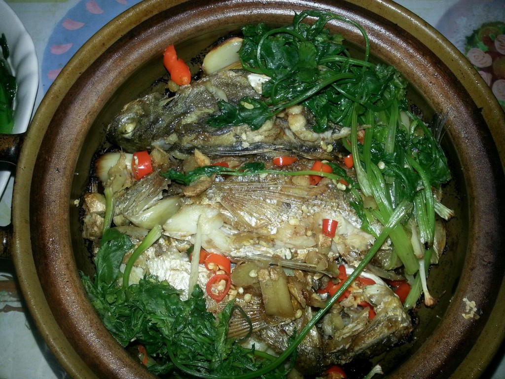砂锅鱼头怎么做_砂锅鱼头的做法_sunny自在的风_豆果美食