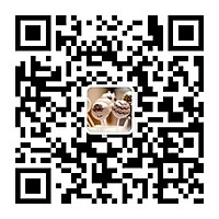 烘焙北京烘焙苏州蛋糕奶茶甜品培训去哪好