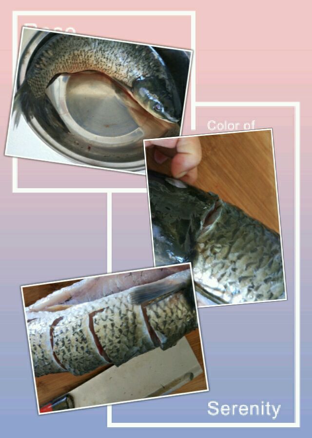 清洗干净后在鱼鳃下部切一刀取出沙线.用刀在鱼身上切牡丹花刀