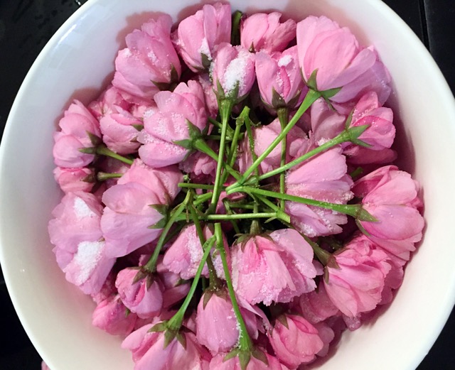 盐渍樱花
