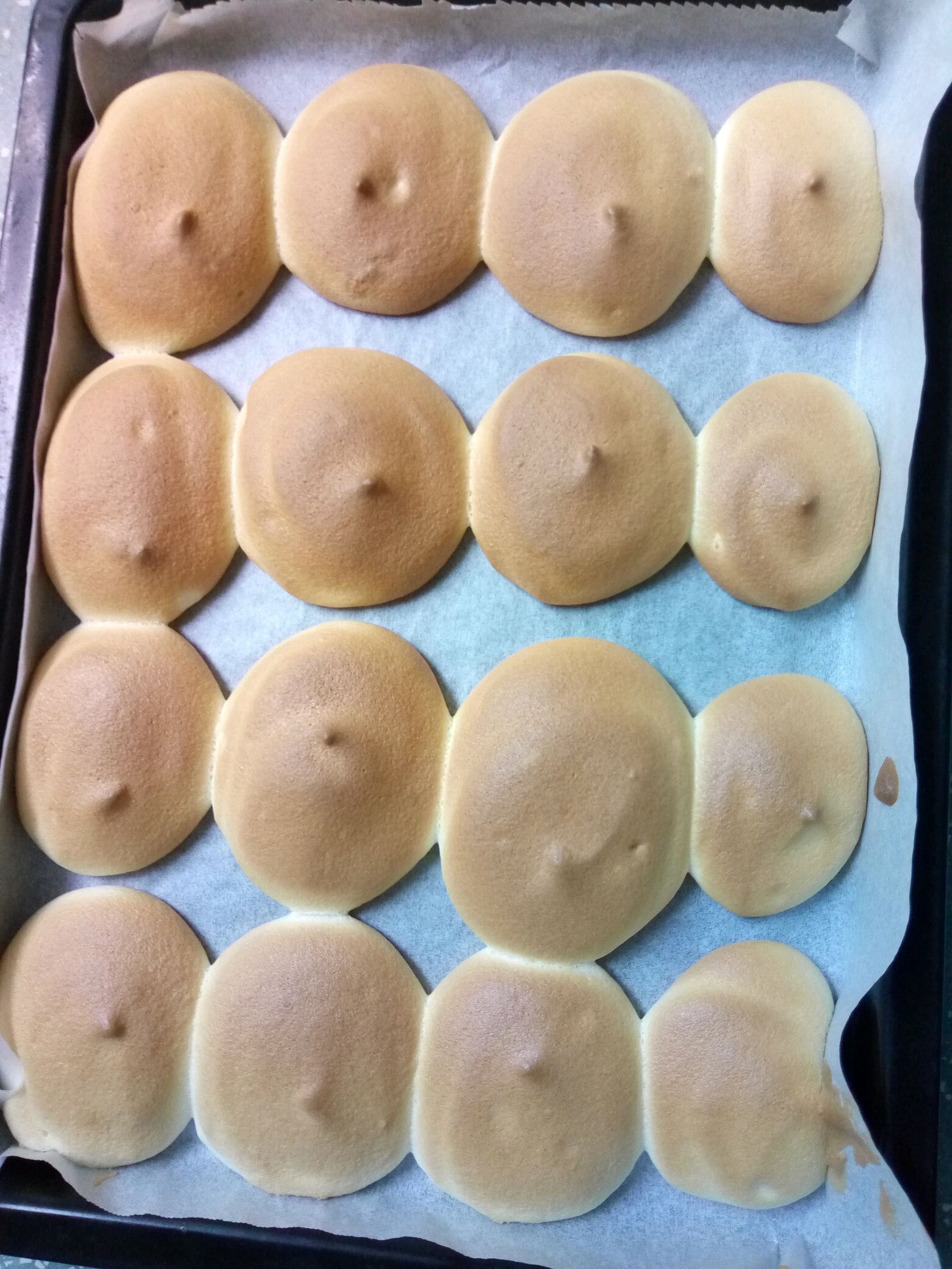网红海苔肉松小仙贝蛋糕