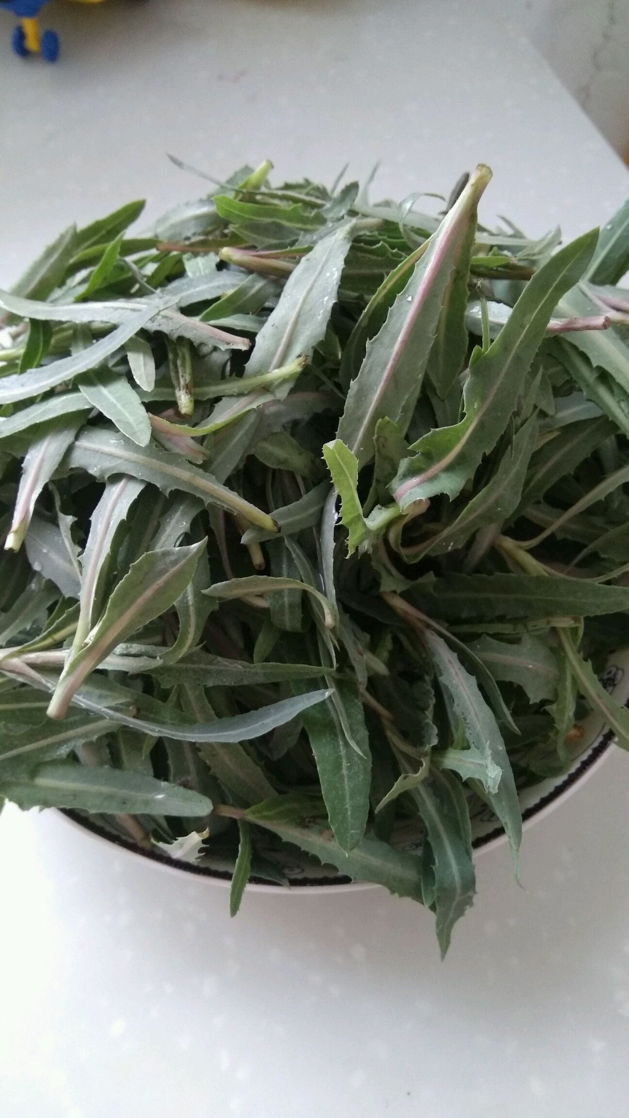 凉拌苦苦菜的做法图解1