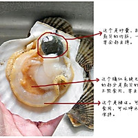 扇贝粉丝的做法图解1