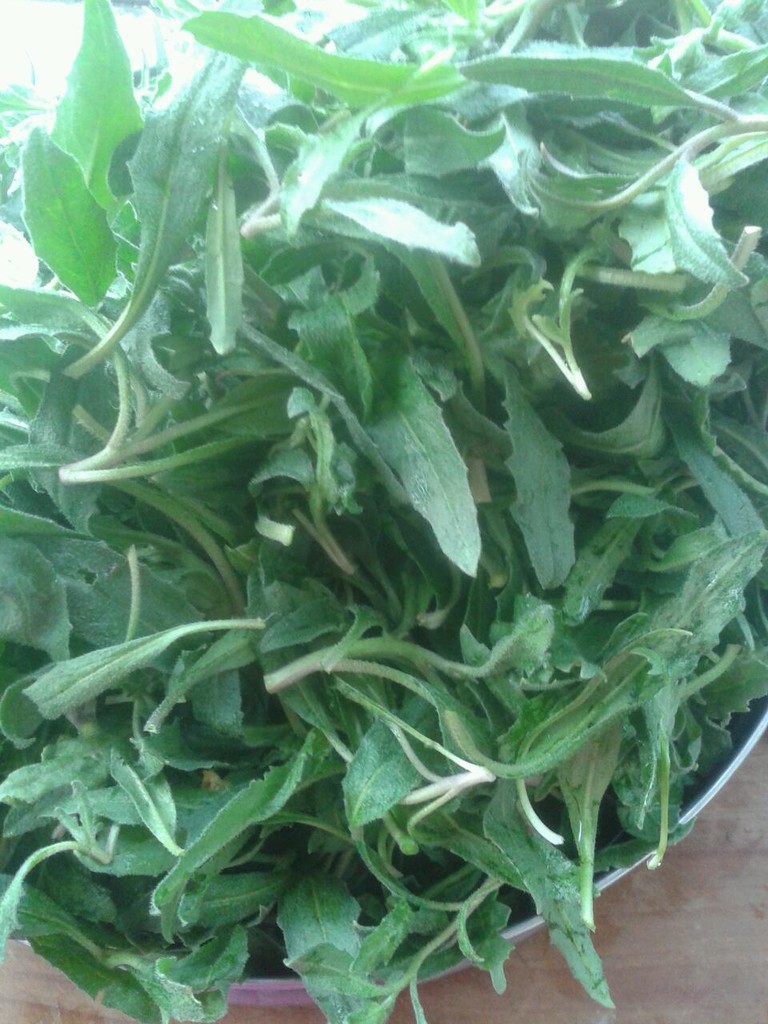 凉拌荠菜的做法图解1