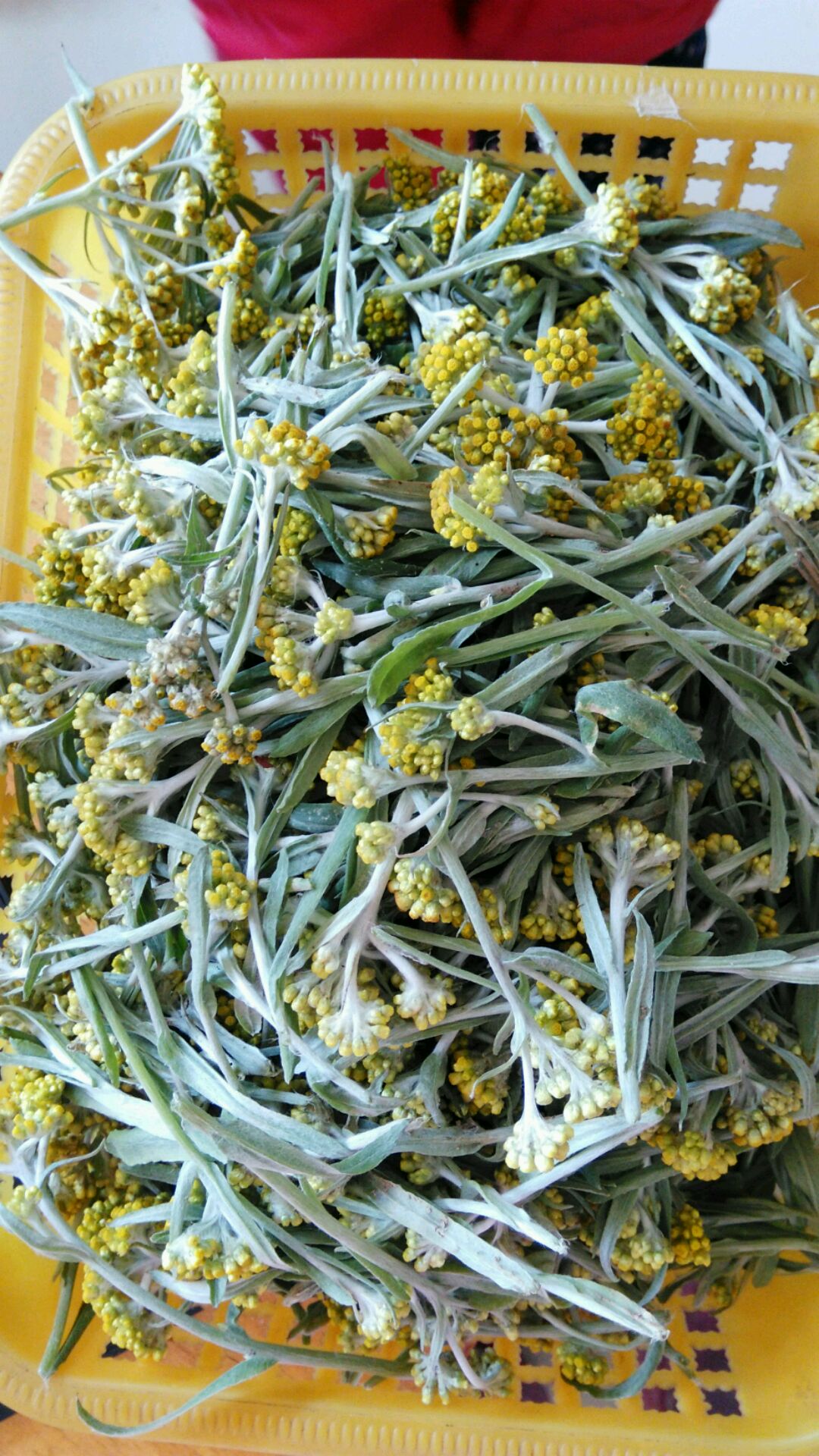 野菜粑粑