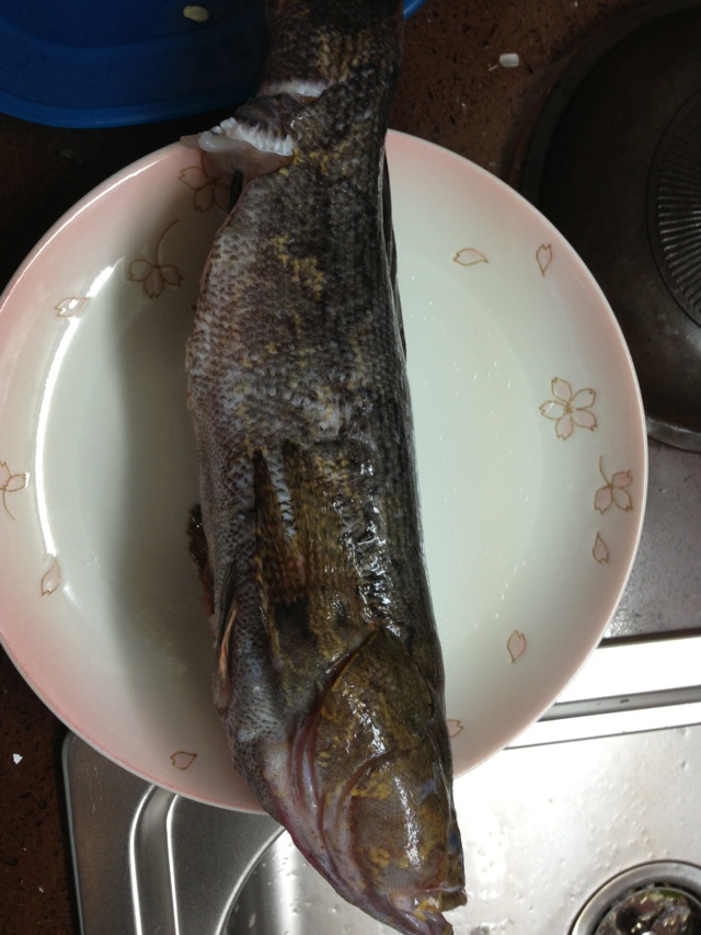 清蒸笋壳鱼
