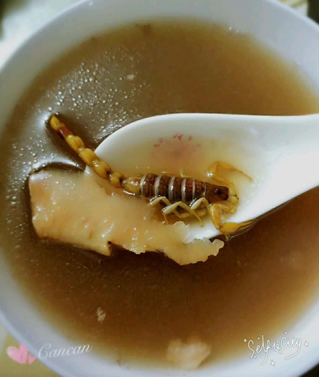土茯苓煲蝎子汤