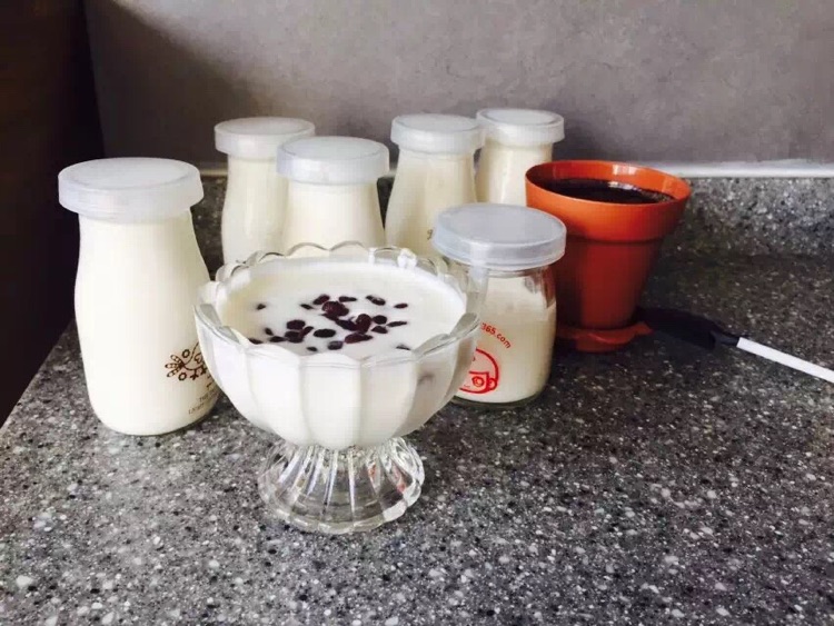 自制手工酸奶