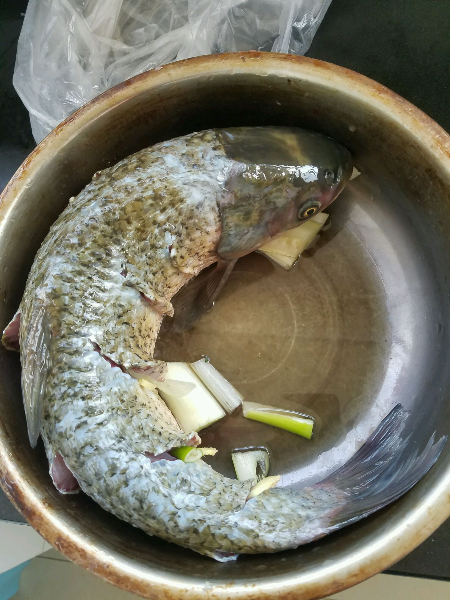 酱香炖鱼