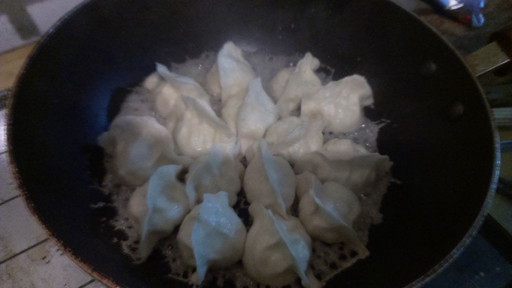 把饺子包好后放入刷过油的不粘锅码放整齐,饺子之间要有空隙.