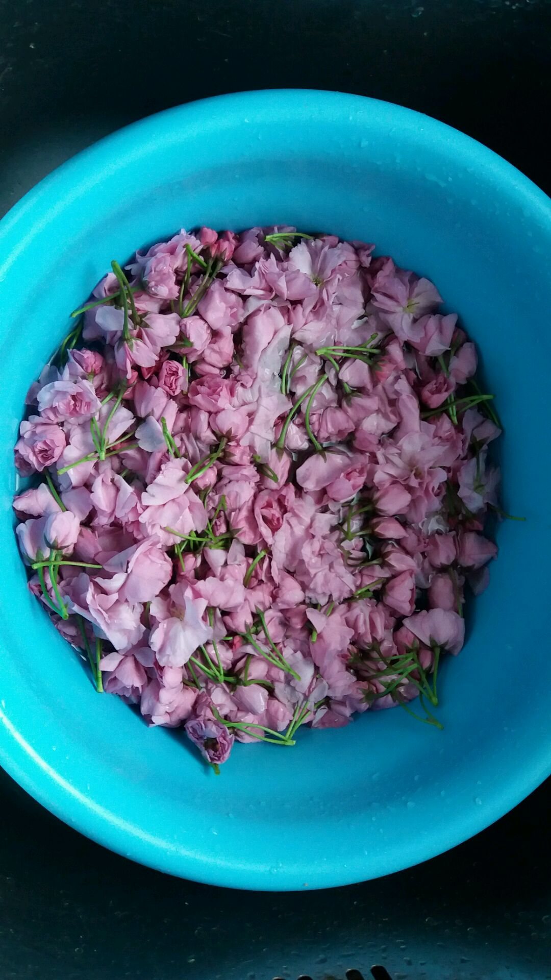 盐渍樱花