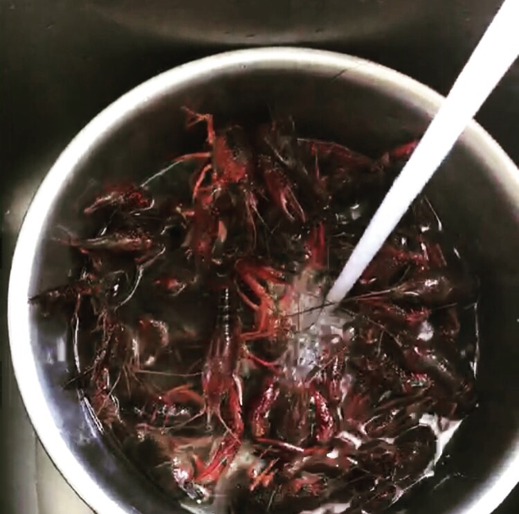夏天的味道 麻辣小龙虾嘻嘻 内附如何清洗小龙虾的做法图解1