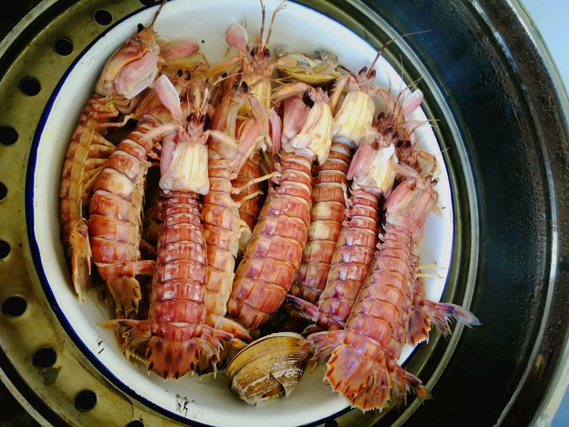 清蒸皮皮虾