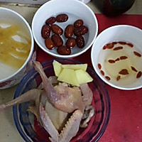 花胶鹿茸炖鸽子的做法_【图解】花胶鹿茸炖鸽