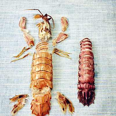 虾爬子这样剥壳