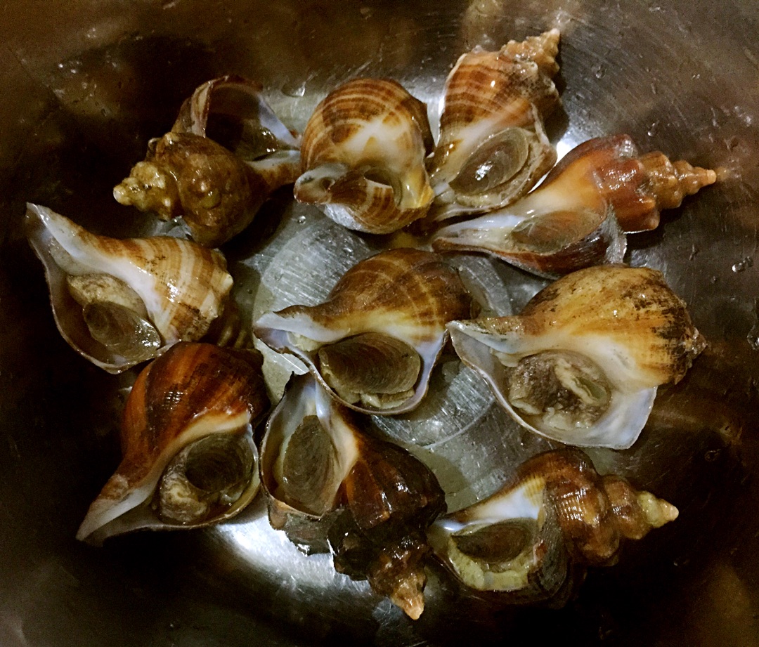 海螺煮多久最好（海螺的正确做法和注意事项） - 重庆小潘seo博客