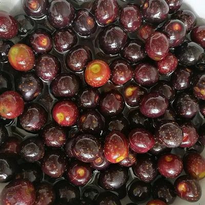 补血佳品—胭脂果