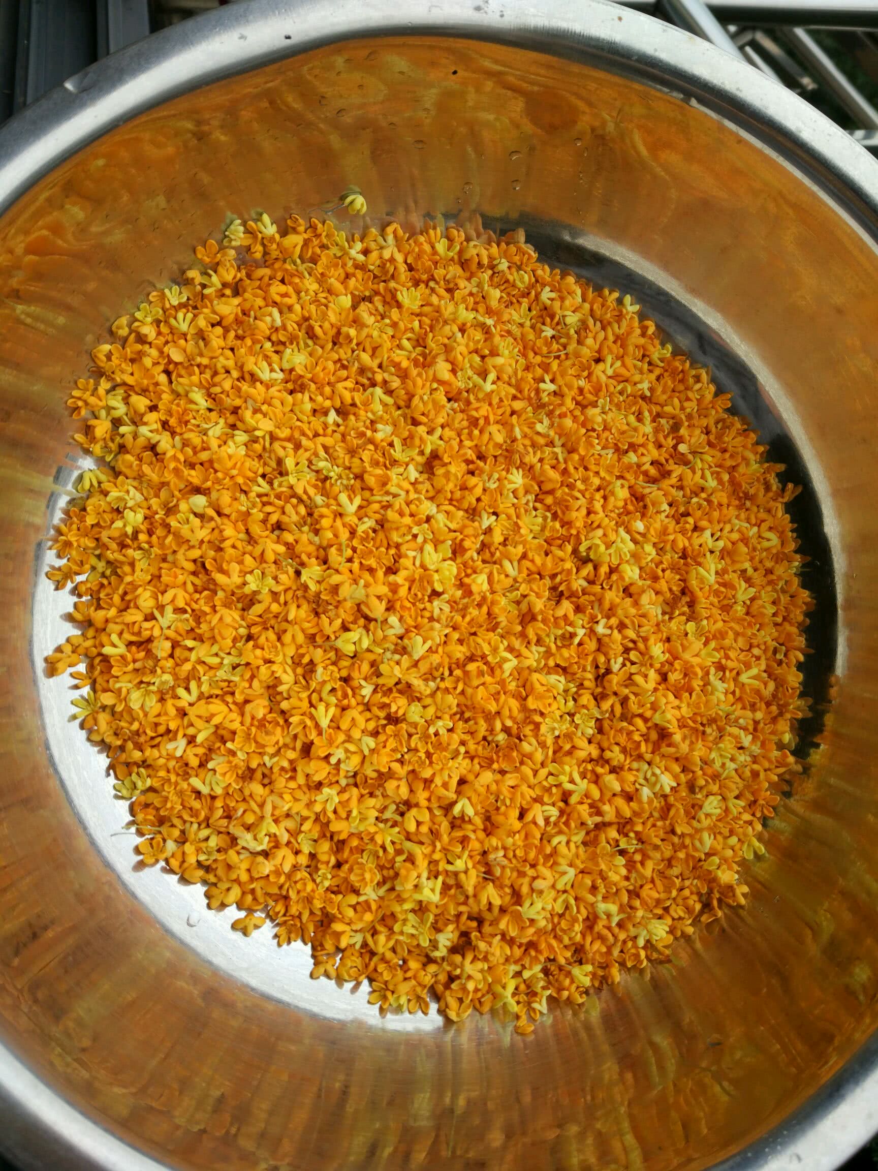 枸杞桂花茶/自制干桂花