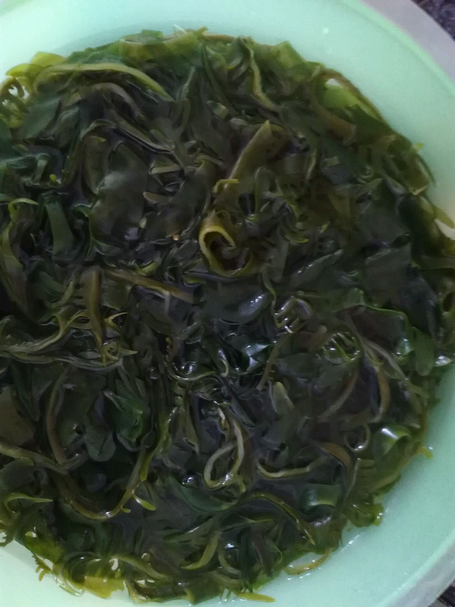 香拌海芽菜