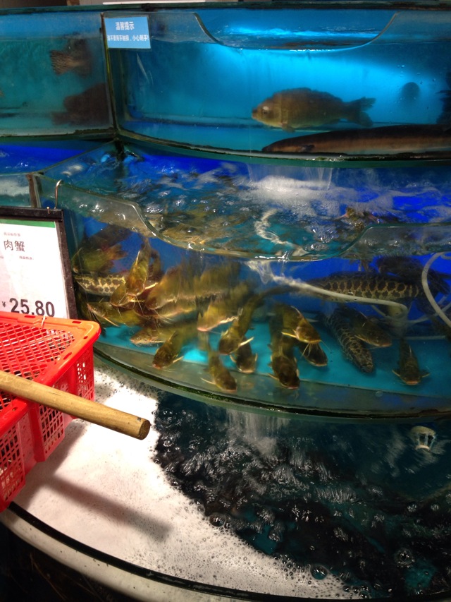 超市里的黄骨鱼.