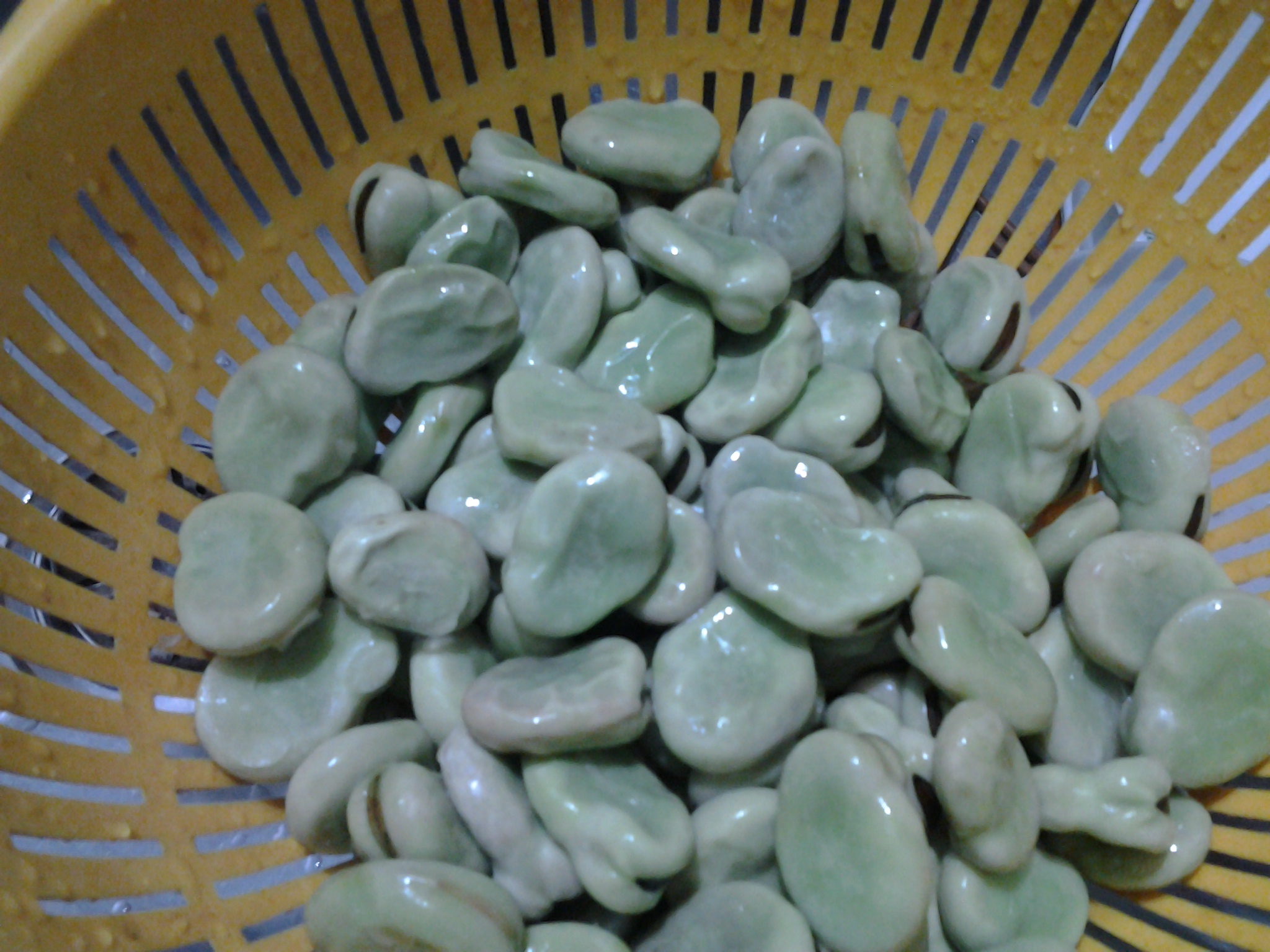 油焖蚕豆