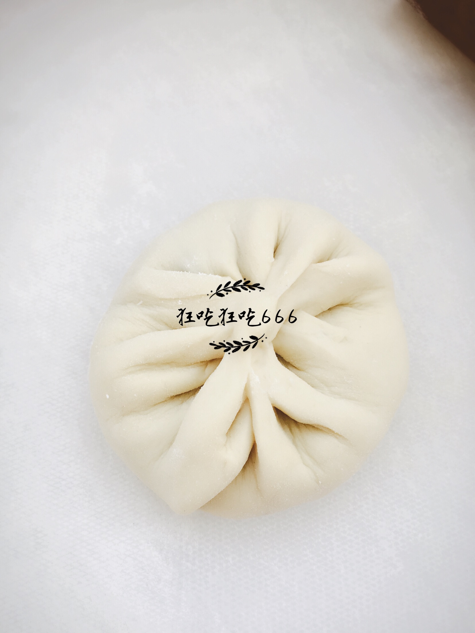 豆角肉大包子