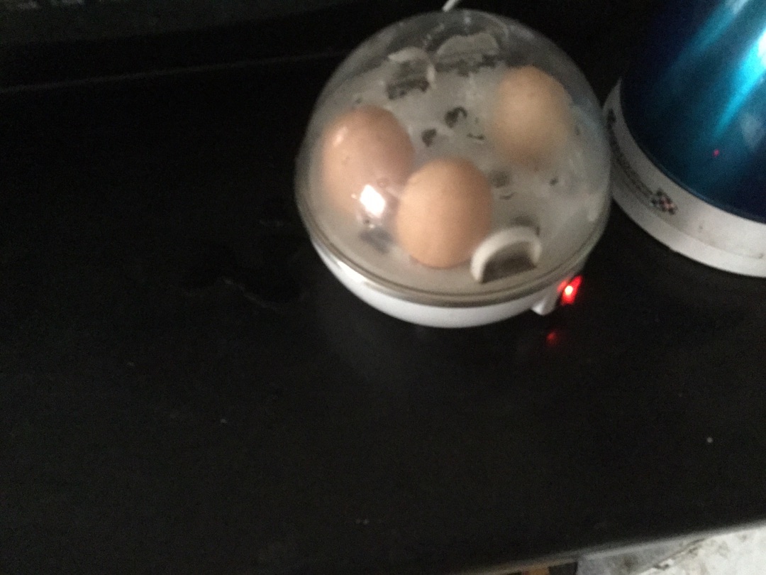 用煮蛋器煮鸡蛋