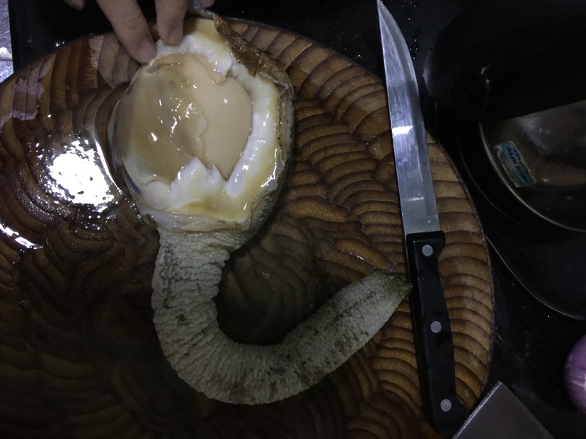 象拔蚌刺身