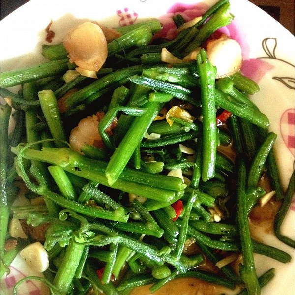 魔法小精灵首领的南瓜藤是发物吗?当青菜有营