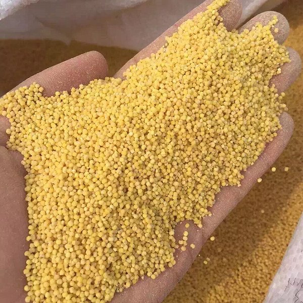 嘟啊嘟妈妈的想要了解咱自家种植的小米的微1