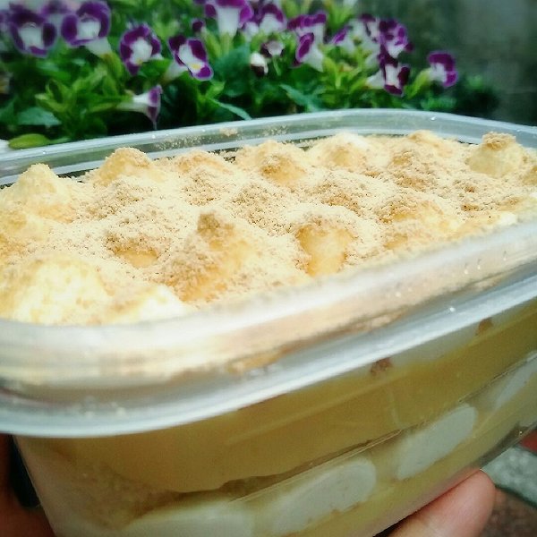 大胖小厨的日式豆乳盒子蛋糕做法的学习成果照