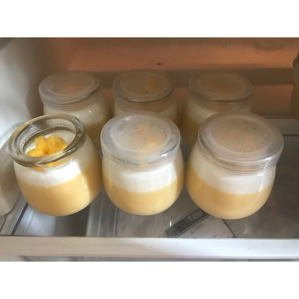 姚姚的小厨房的酸奶芒果双色布丁做法的学习成