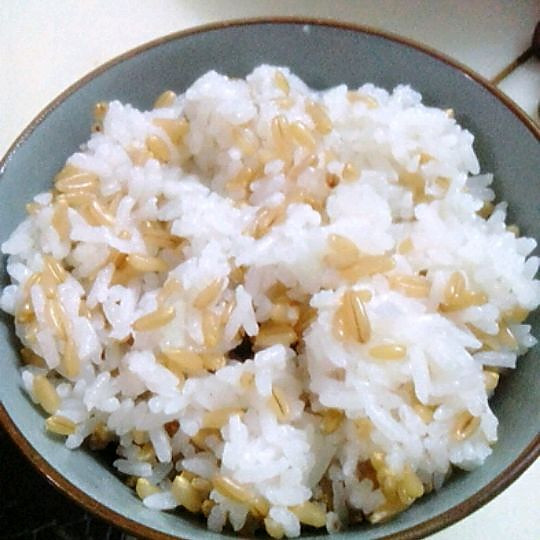 燕麦大米饭