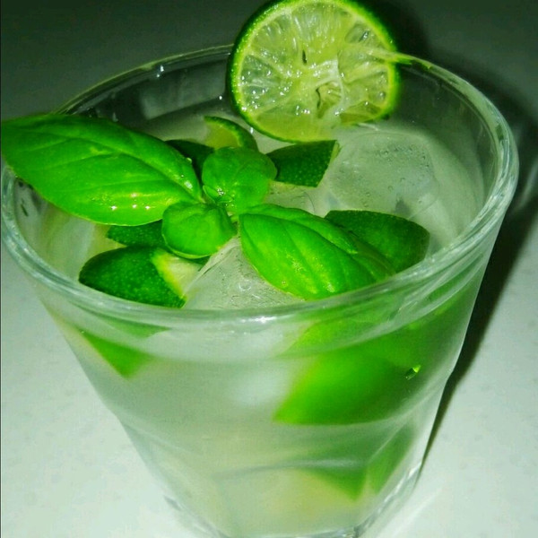 柠檬薄荷水